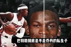 iconscout官网入口登录入口